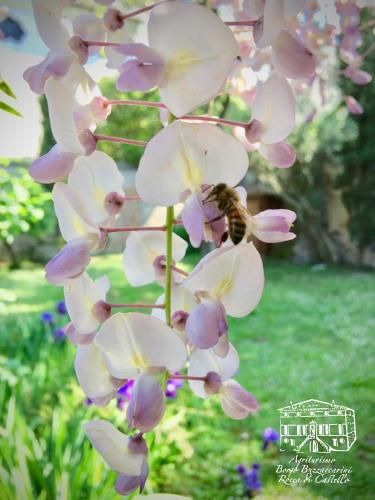 Outdoor Pictures 21