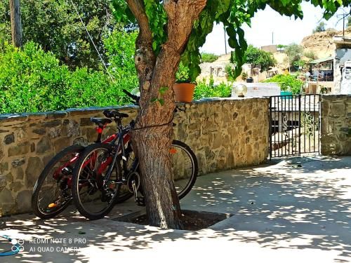 Outdoor Pictures 5