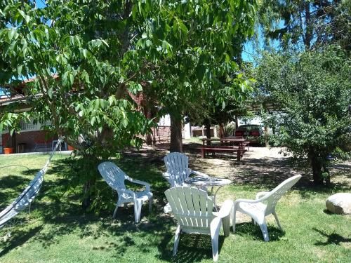 Outdoor Pictures 8