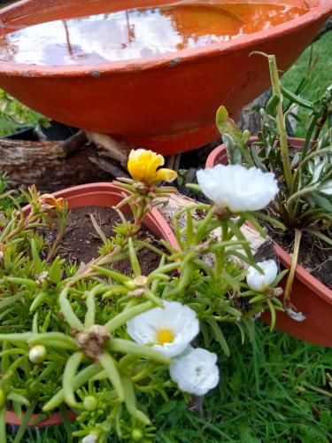 Outdoor Pictures 20
