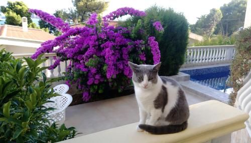 Outdoor Pictures 7