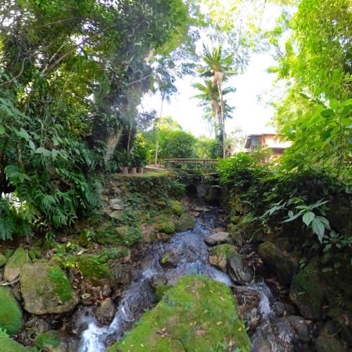 Outdoor Pictures 6