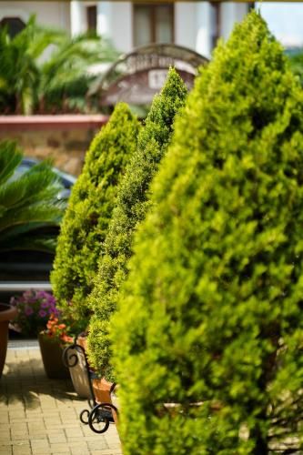 Outdoor Pictures 20