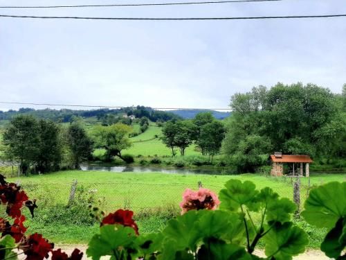 Outdoor Pictures 13