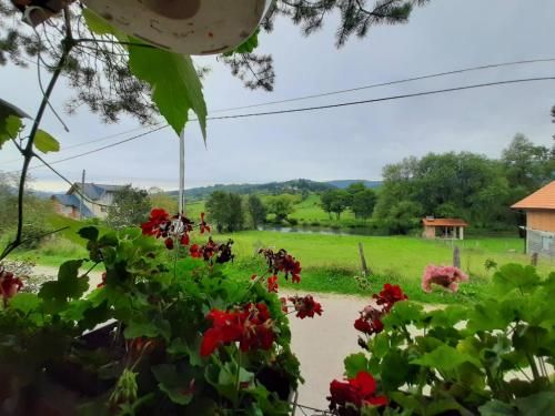 Outdoor Pictures 14