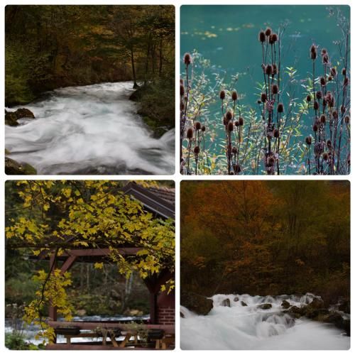 Outdoor Pictures 5