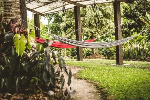 Outdoor Pictures 21