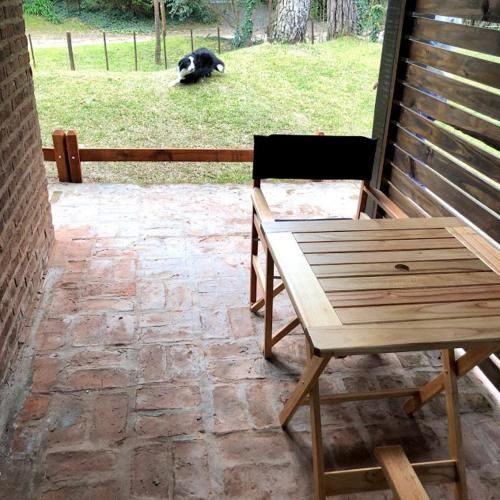 Outdoor Pictures 10