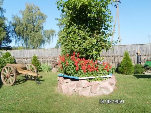 Outdoor Pictures 16