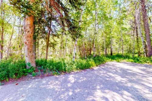 Outdoor Pictures 23