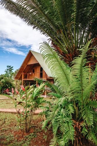 Kaya Bloom Ecolodge & Glamping
