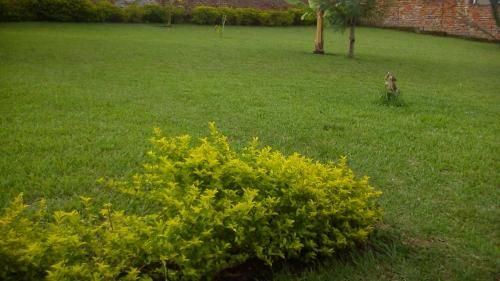 Outdoor Pictures 12