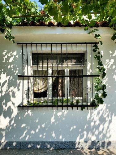 Outdoor Pictures 16