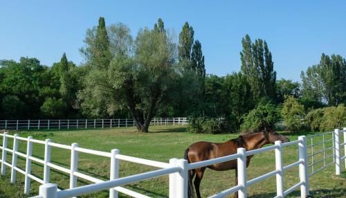 Outdoor Pictures 1