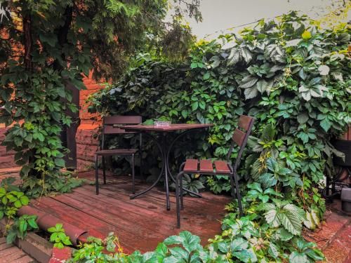 Outdoor Pictures 22