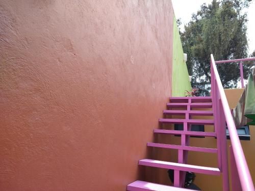Outdoor Pictures 17