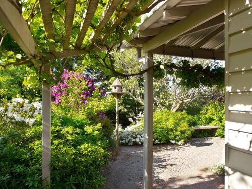 Outdoor Pictures 15