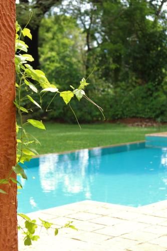 Outdoor Pictures 20