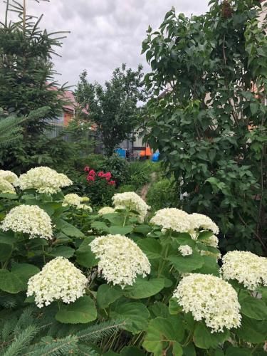Outdoor Pictures 7
