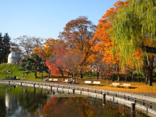 Outdoor Pictures 20