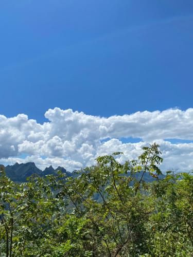 Outdoor Pictures 15