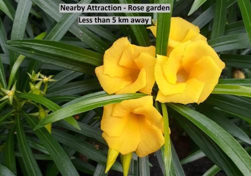 Outdoor Pictures 22