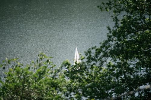 Outdoor Pictures 7