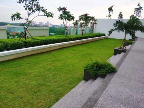 Outdoor Pictures 5