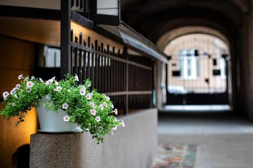 Outdoor Pictures 7
