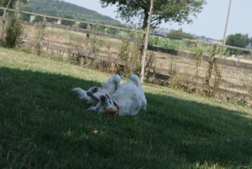 Outdoor Pictures 21