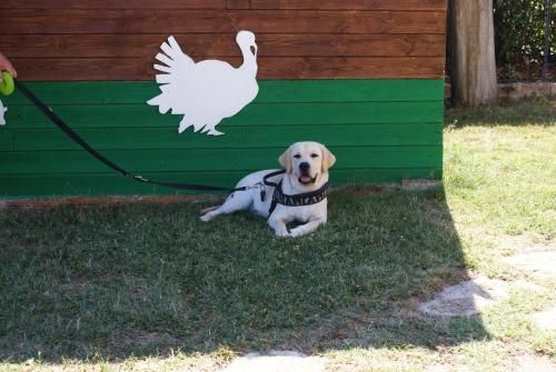 Outdoor Pictures 23