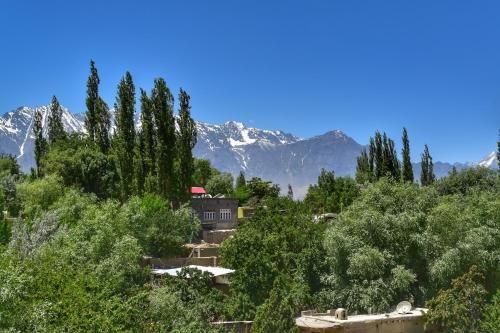 Outdoor Pictures 22