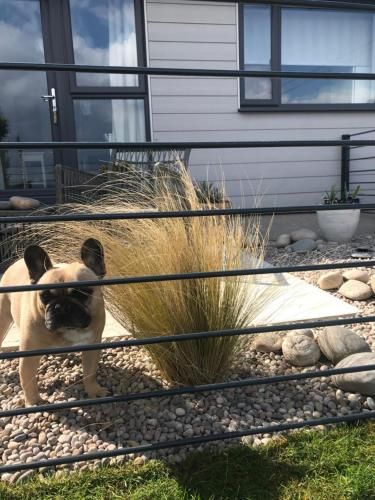 Ocean Drive 1 Boutique Apartment Brean Down
