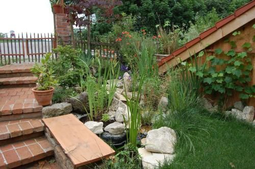 Outdoor Pictures 7