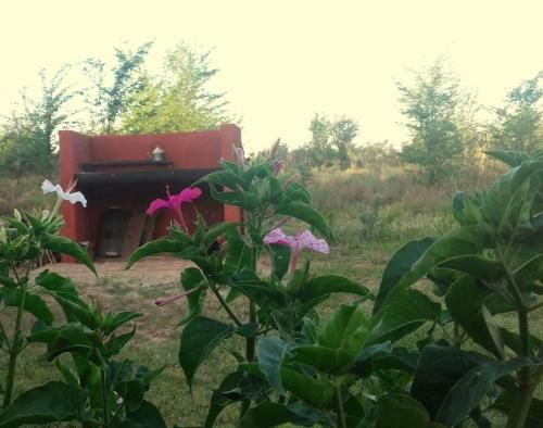 Outdoor Pictures 1