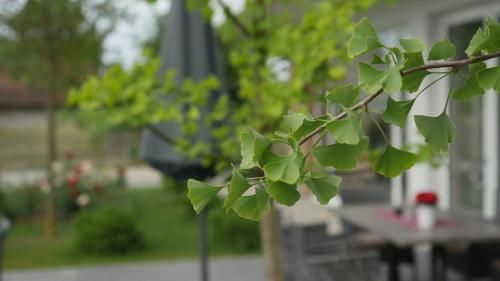 Outdoor Pictures 21