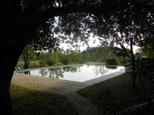 Outdoor Pictures 5
