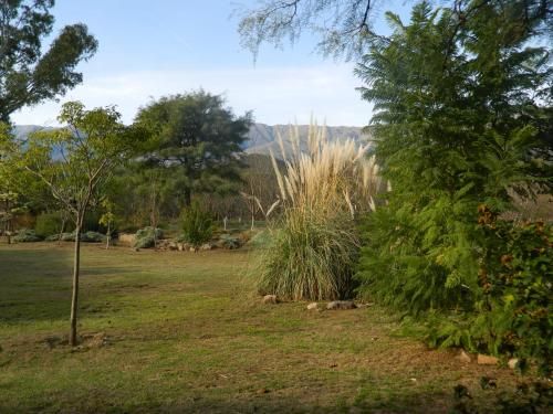 Outdoor Pictures 16