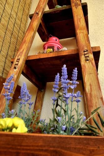 Outdoor Pictures 22