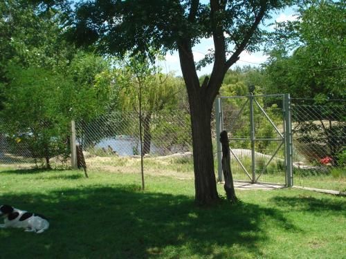Outdoor Pictures 5