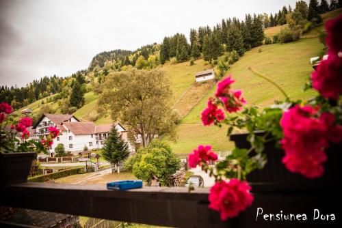 Outdoor Pictures 9