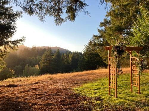 Outdoor Pictures 20