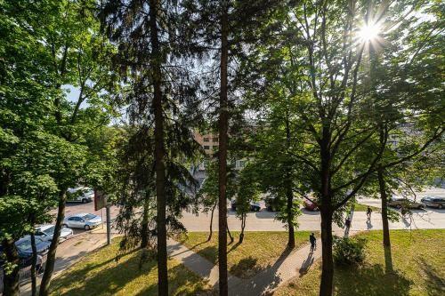 Outdoor Pictures 15