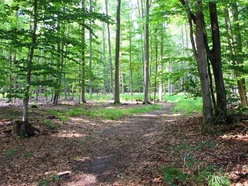 Outdoor Pictures 10