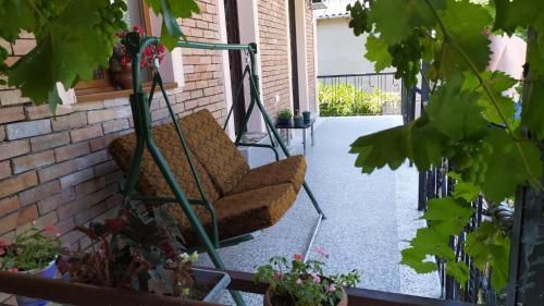Outdoor Pictures 10
