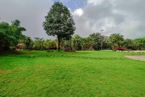 Outdoor Pictures 17