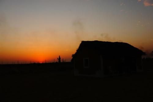 Outdoor Pictures 23