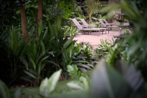 Outdoor Pictures 20