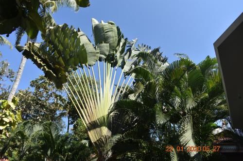 Outdoor Pictures 13