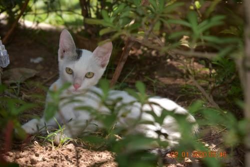 Outdoor Pictures 14